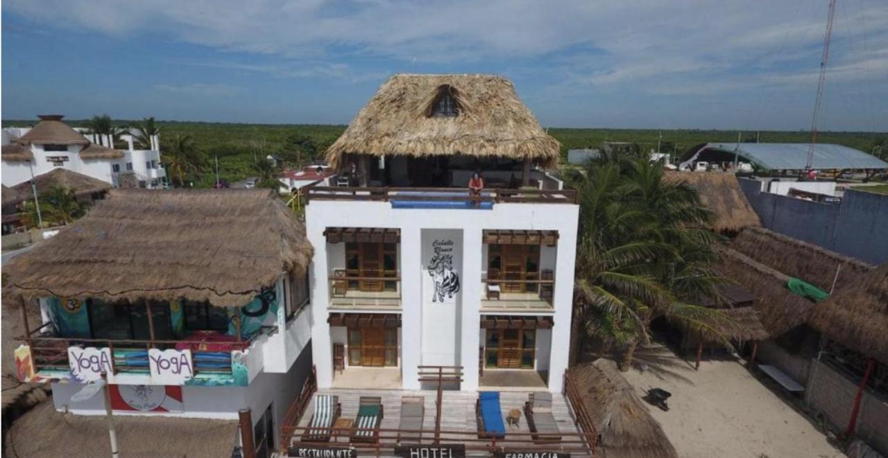 Hotel El Caballo Blanco 마아우알 외부 사진