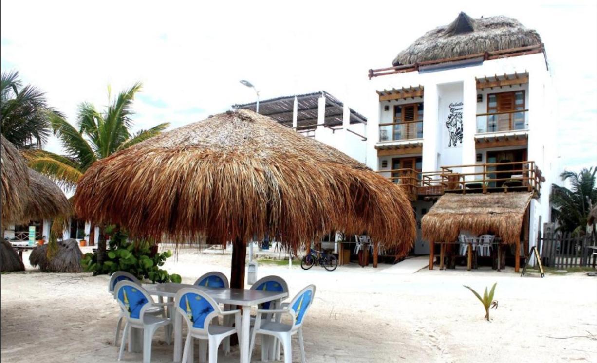 Hotel El Caballo Blanco 마아우알 외부 사진